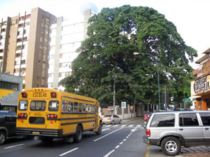 Школьный автобус на улицах микрорайона Альтамира.