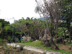 Тематическая подборка растений в парке.