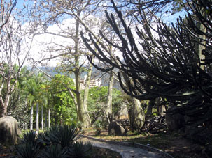 Тематический уголок растительности в Восточном парке Каракаса.