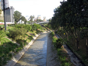 Река Рио Гуайре.