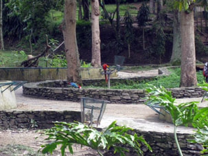 Прямо у дорожки были два больших попугая Ара Красных. Даже в зоопарке юкатанской Мериды их можно было увидеть только через решётку. Прямо подходи ближе и смотри.