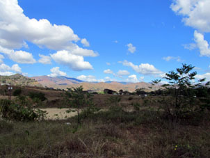 Местный ландшафт Фуэрте Конопоймы.
