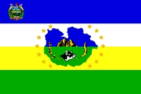 Флаг венесуэльского штата Гуарико.