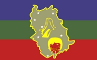 Флаг штата Амасонас