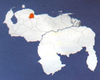 Штат Яракуй на карте Боливарианской Республики Венесуэлы.