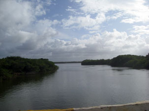 Большой участок той дороги от Пуэрто Франсес до Игероте был проложен через мангры, протоки и лагуны.