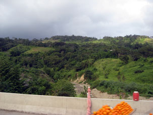 На этих склонах в штате Миранда выращивают мандарины.