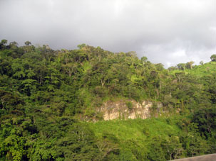 Незанятые сельским хозяйством склоны покрыты горными тропическими лесами.
