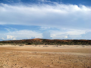 За пересохшей лагуной виднелись песчанные холмы, поросшие пустынной растительностью.