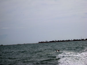 Мы отъезжали от острова Коче. За лодкой следовали пеликаны.
