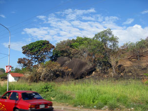 Гранитные глыбы и живые деревья вдоль дороги.