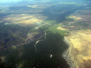 Здесь начинается штат Амазонас и здесь саванны и редколесья начинают сменяться лесами.