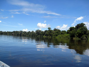 В Ориноко впадает река Аутана, и это заметно по цвету воды.