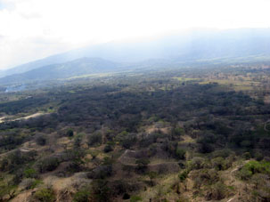 Холмистая равнина штата Яракуй в сухой сезон.