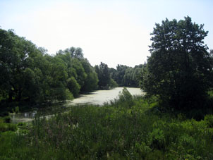 Este estanque pertenece a la aldea Zakhár'ino.