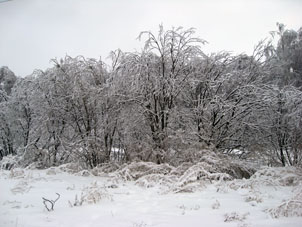 A veces en un invierno, ocurre tiempo tibio, luego llega frío y el agua de la nieve fundida se congela nuevamente formando así un especie de capa de hielo sobre árboles, caminos y las otras superficies.