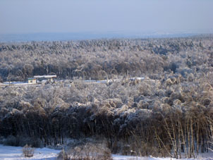 Bosque y carretera Simferópolskoe shosse (hacia Simferópol) bajo nieve. Vista desde mi apartamento.