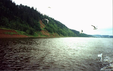 Río Kama desde un barco.