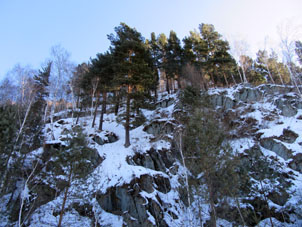 Pinos sobre rocas en la región de Krasnoyarsk.
