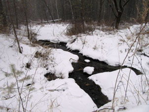 Un arroyo en las montañas Sayany que no se ha congelado.