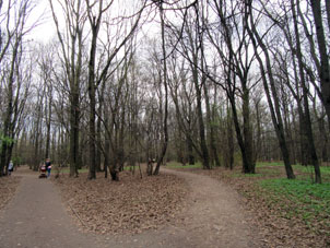 Tilos antiguos en el parque Vorontsovo.