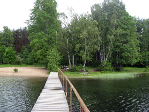 Lago y abedular en la provincia Leningrádskaya.