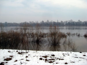 Primavera temprana en el Río Oká (provincia de Moscú)