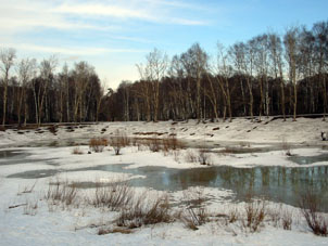 Un estanque del parque forestal Kuskovo en Moscú durante la primavera.