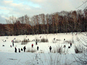 Invierno en un estanque del parque forestal Kuskovo en la c. de Moscú.