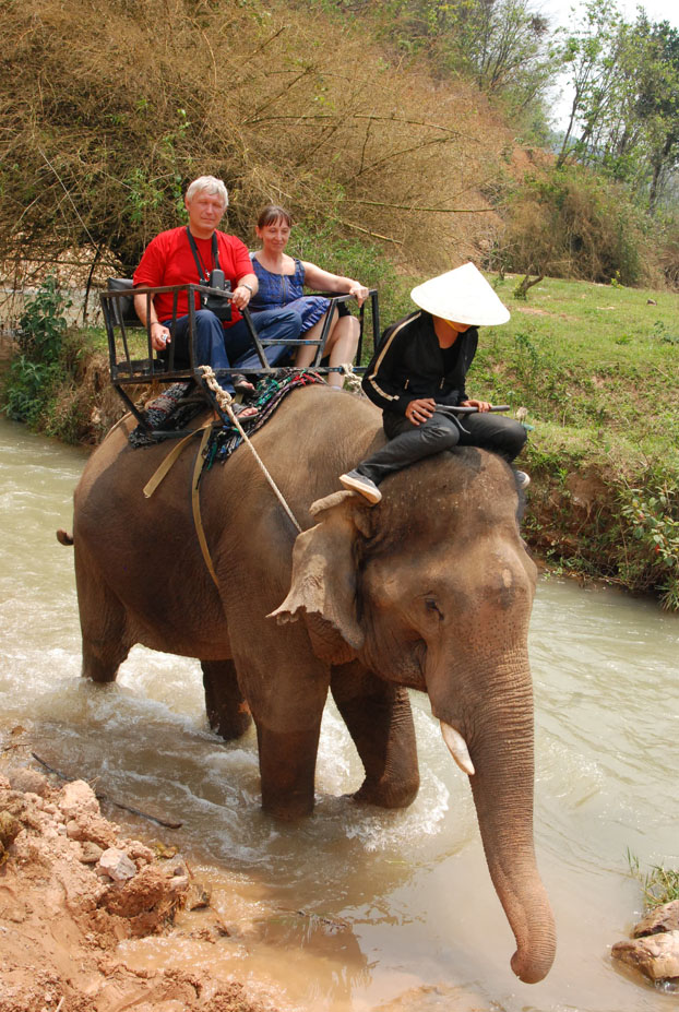 Я во Вьетнаме на слоне  24 марта 2013 года