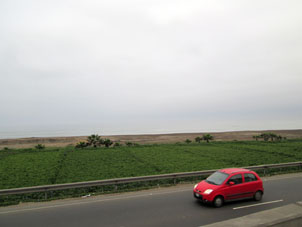 Панамериканское шоссе идёт вдоль берега Тихого океана