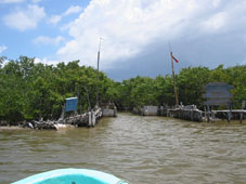 Переплыв лагуну, лодка вошла в протоку среди мангровых зарослей.