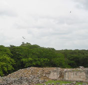 Сопилоты над развалинами Кабаха